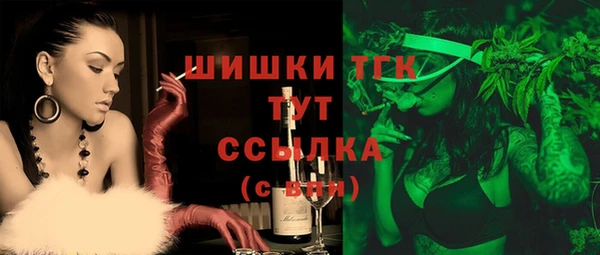 винт Богданович