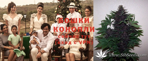 хмурый Богородицк