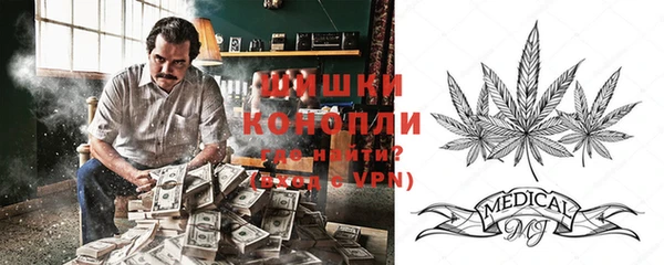винт Богданович