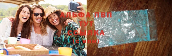 винт Богданович